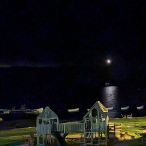 PXL_20240907_035730220.NIGHT.jpg